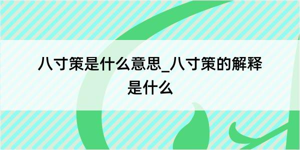 八寸策是什么意思_八寸策的解释是什么