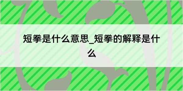 短拳是什么意思_短拳的解释是什么