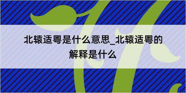 北辕适粤是什么意思_北辕适粤的解释是什么