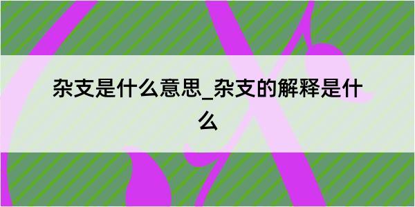 杂支是什么意思_杂支的解释是什么