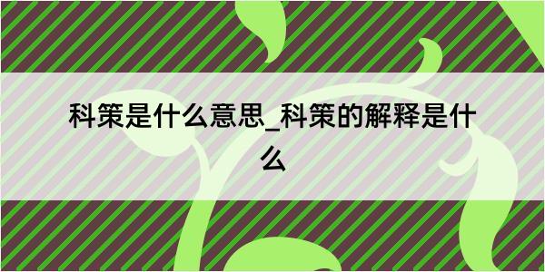 科策是什么意思_科策的解释是什么