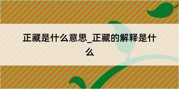 正藏是什么意思_正藏的解释是什么