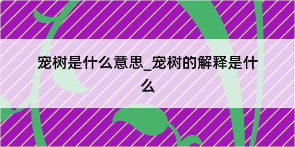 宠树是什么意思_宠树的解释是什么