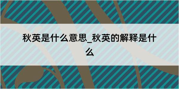 秋英是什么意思_秋英的解释是什么