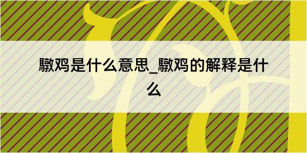 驐鸡是什么意思_驐鸡的解释是什么