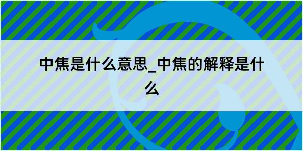 中焦是什么意思_中焦的解释是什么