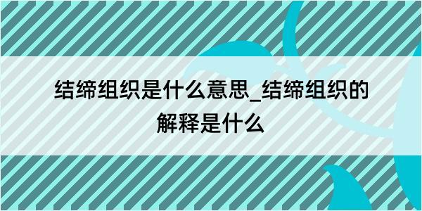 结缔组织是什么意思_结缔组织的解释是什么