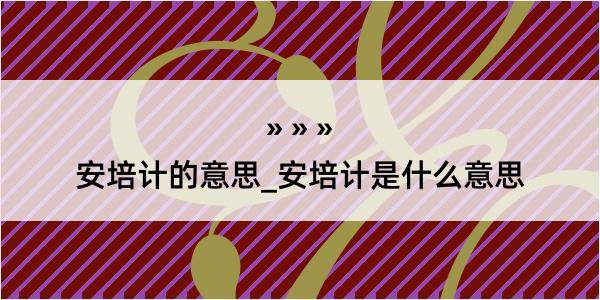 安培计的意思_安培计是什么意思