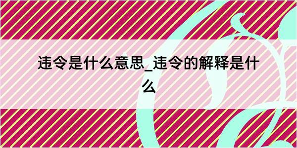 违令是什么意思_违令的解释是什么