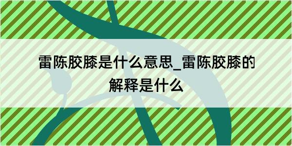 雷陈胶膝是什么意思_雷陈胶膝的解释是什么