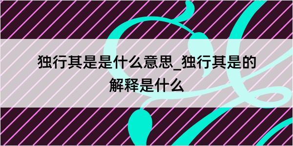 独行其是是什么意思_独行其是的解释是什么