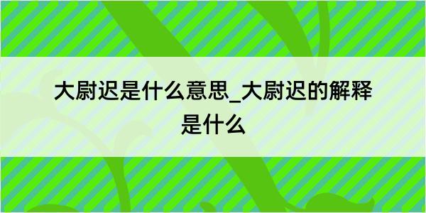 大尉迟是什么意思_大尉迟的解释是什么