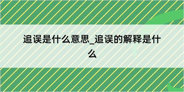 追误是什么意思_追误的解释是什么