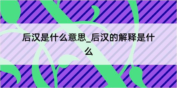 后汉是什么意思_后汉的解释是什么