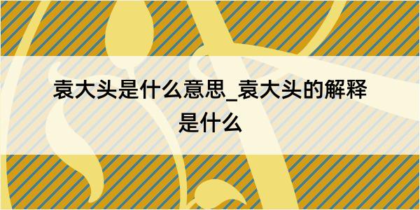 袁大头是什么意思_袁大头的解释是什么