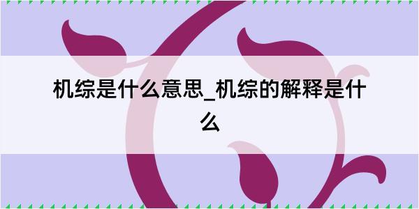 机综是什么意思_机综的解释是什么