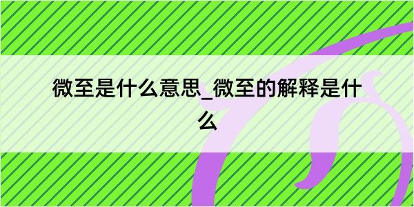 微至是什么意思_微至的解释是什么