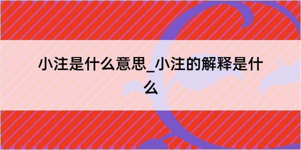 小注是什么意思_小注的解释是什么