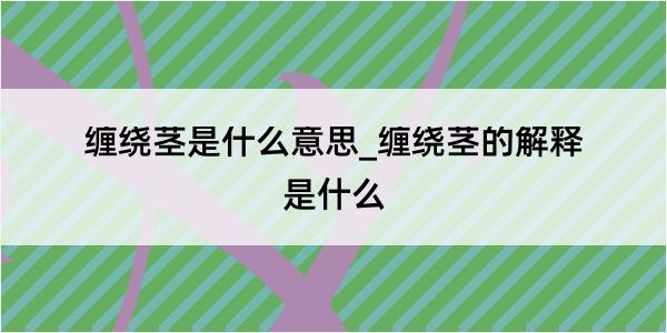 缠绕茎是什么意思_缠绕茎的解释是什么