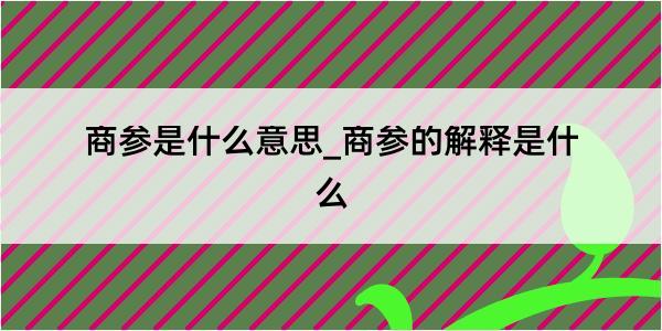 商参是什么意思_商参的解释是什么