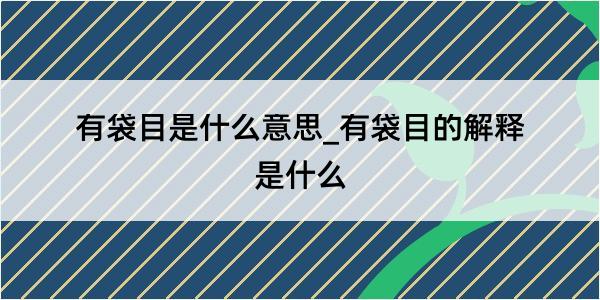 有袋目是什么意思_有袋目的解释是什么