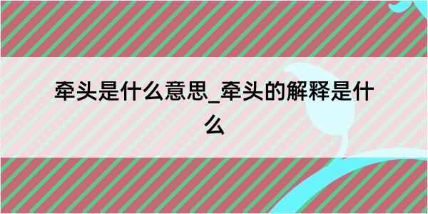 牵头是什么意思_牵头的解释是什么