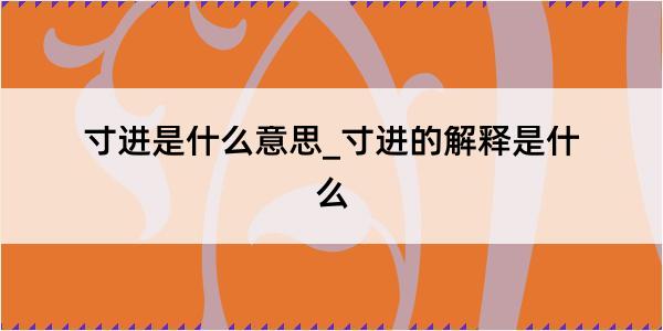 寸进是什么意思_寸进的解释是什么