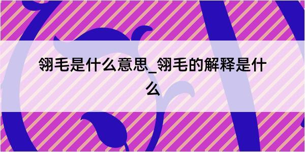 翎毛是什么意思_翎毛的解释是什么