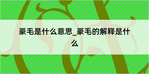 豪毛是什么意思_豪毛的解释是什么