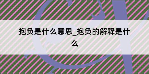 抱负是什么意思_抱负的解释是什么