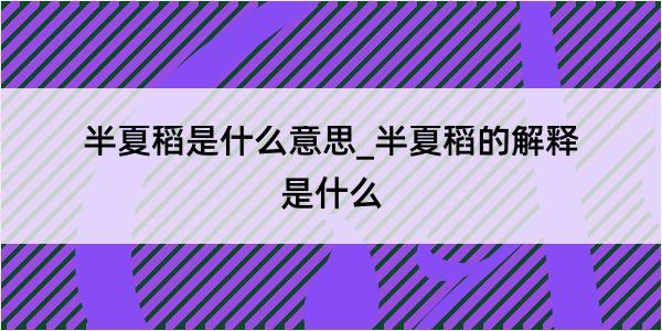 半夏稻是什么意思_半夏稻的解释是什么