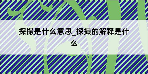 探撮是什么意思_探撮的解释是什么