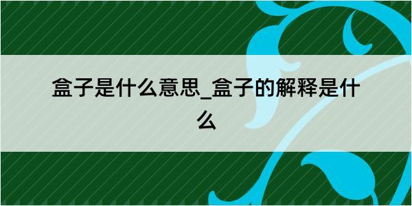 盒子是什么意思_盒子的解释是什么