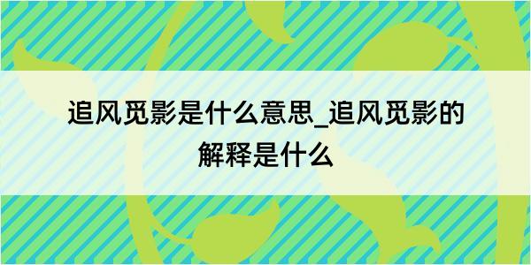 追风觅影是什么意思_追风觅影的解释是什么