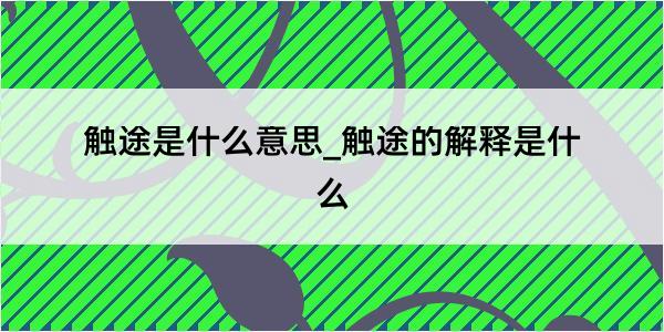 触途是什么意思_触途的解释是什么