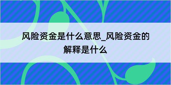 风险资金是什么意思_风险资金的解释是什么