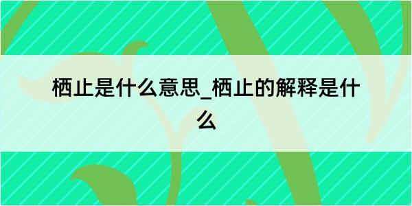 栖止是什么意思_栖止的解释是什么