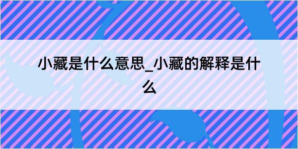 小藏是什么意思_小藏的解释是什么