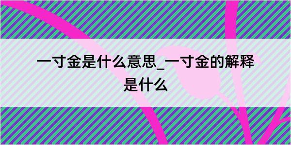 一寸金是什么意思_一寸金的解释是什么