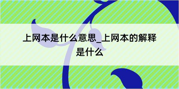 上网本是什么意思_上网本的解释是什么