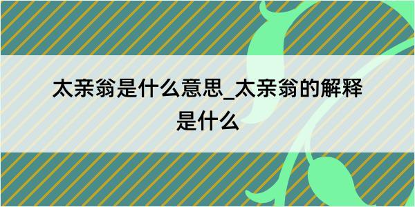 太亲翁是什么意思_太亲翁的解释是什么