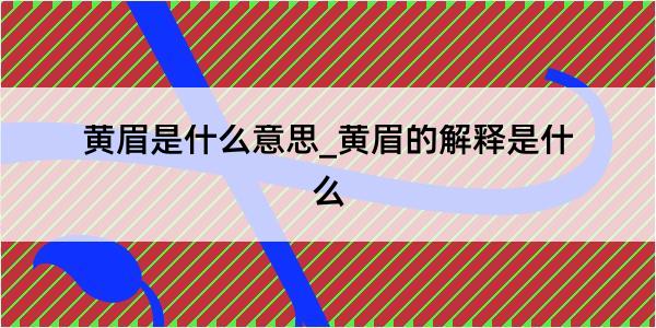 黄眉是什么意思_黄眉的解释是什么