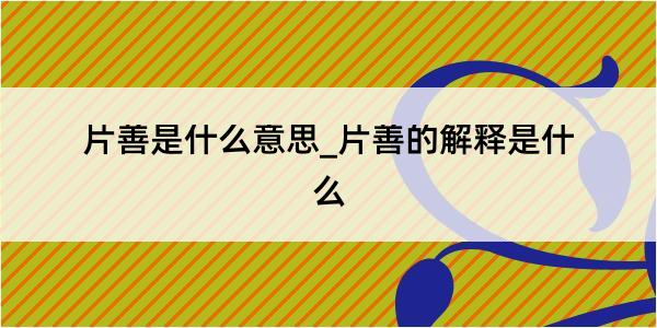 片善是什么意思_片善的解释是什么