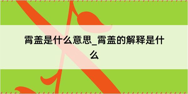 霄盖是什么意思_霄盖的解释是什么