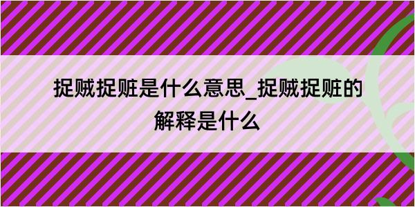 捉贼捉赃是什么意思_捉贼捉赃的解释是什么