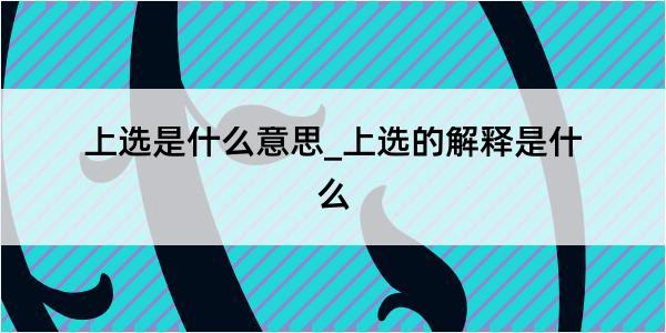 上选是什么意思_上选的解释是什么