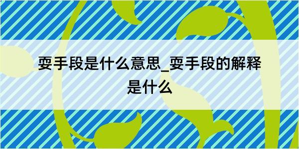 耍手段是什么意思_耍手段的解释是什么