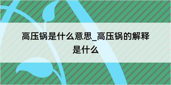 高压锅是什么意思_高压锅的解释是什么