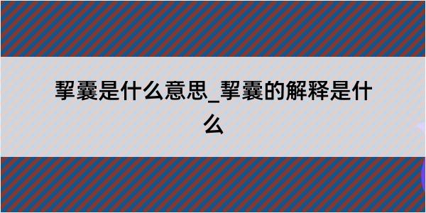 挈囊是什么意思_挈囊的解释是什么