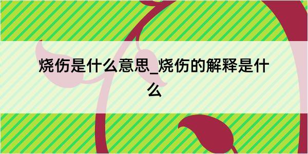 烧伤是什么意思_烧伤的解释是什么